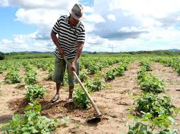 Resultado de imagen para agricultor