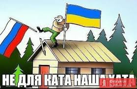 Боевики продолжают не допускать наблюдателей ОБСЕ в Коминтерново, - спикер АТО - Цензор.НЕТ 4555