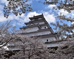 鶴ヶ城公園の画像