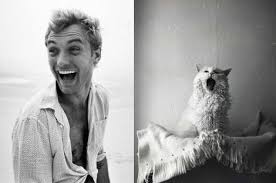 Image result for men and cats tumblr