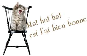 images?q=tbn:ANd9GcTcMjKwdijDsdZYiSXeMzF