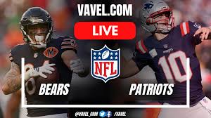 Bears