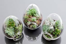 Resultado de imagen de imagenes de pequeños    jardines creados en recipientes o botellas