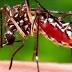 Lexington mosquito-spraying schedule released