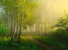 Image result for "gary larson" smite god