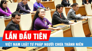 Lần đầu tiên Việt Nam có Luật Tư pháp người chưa thành niên