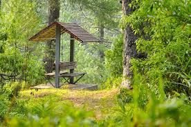 Image result for beautiful places in pakistan