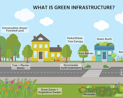 Image of Green Infrastructure