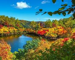 層雲峡の紅葉の画像