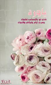 ���� ���� ������ �� ���� ������