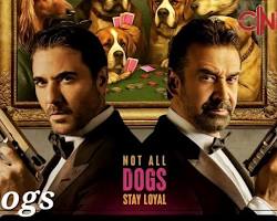 Image of 7 Dogs movie trailer Ahmed Ezz Karim Abdel Aziz Monica Bellucci