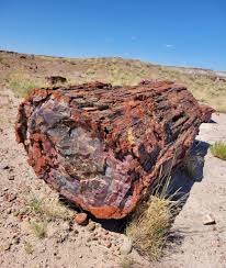 GOTH 2023 PART VI: They're Rocks, but They Look Like Trees ...