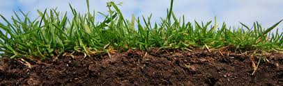 Image result for soil