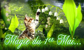 Résultat de recherche d'images pour "muguet 1er mai"
