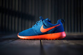 Image result for roshe run