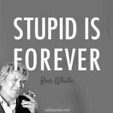 Ron White Quotes on Pinterest | Alcohol Quotes, Scottish Terrier ... via Relatably.com