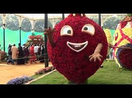Image result for ooty botanical garden flower show 2015