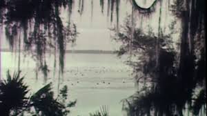 Ocklawaha restoration debate expected to continue as bill to restore river dies in Legislature
