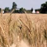 State takes control land, will
