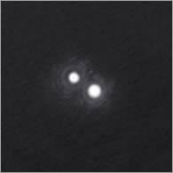Image result for castor star