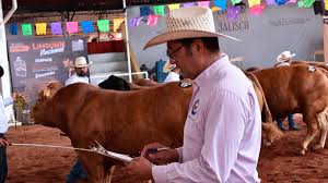 Destacan cooperación México-EU para reapertura gradual de frontera al ganado mexicano