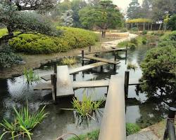 Asymmetrical Japanese garden