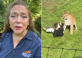 Defensora dos direitos de felinos pede que tigre que matou jovem em zoo não seja sacrificado: 'Não fez nada errado'