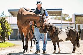 Sunshine Style and Speed Derby Day Lights Up Flemington