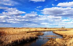 http://www.ranchland.com/ranches-for-sale/texas-ranches-for-sale