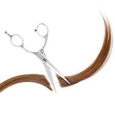 Image result for cut