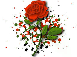 Image result for happy rose day
