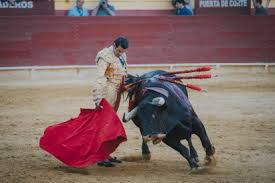 La Voz de Almería - News update