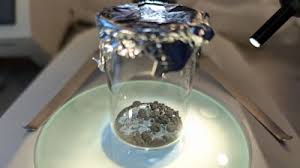 meteorite Picture