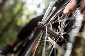 Zeugen nach Unfallflucht gesucht