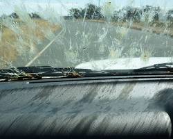 Image of Car windshield with splattered insects
