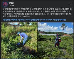 뉴스토마토 - News update