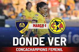 MARCA - News update