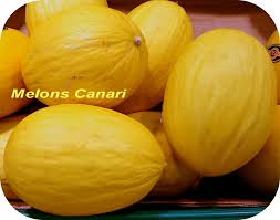 images?q=tbn:ANd9GcTeKXiRf_c5BtuaqkFKBw2JT7Zmxr94Z4LT3HG4DPGUwPwOFn2r