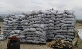 Resultado de imagen para deforestacion bahoruco