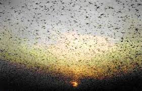 There is a greater turbulence that is about to come 