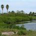 Gulfport hopes to reach agreement withSt.Peteon Clam Bayou