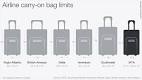 Hand luggage - Air India