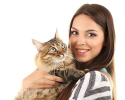 young woman with a catの画像