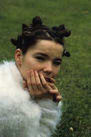 Youri Lenquette - bjork.fr - youri-lenquette-05