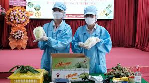 Laodong.vn - News update