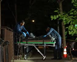 Two women slain in Park Slope building with history of deadly violence