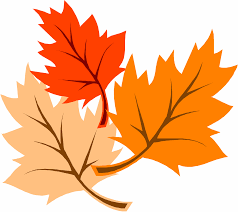 Image result for fall leaves