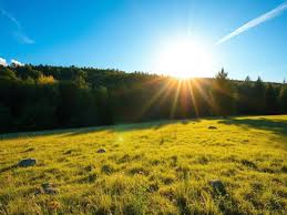 First day of summer 2025 kicks off with the summer solstice, bringing heat and sunshine ahead
