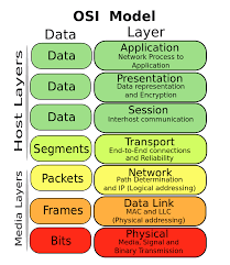 https://encrypted-tbn3.gstatic.com/images?q=tbn:ANd9GcTeo7yGzhp49TioouE0gZ2FIbs7YOZCmN0YgC0R3MIGiYCG1RpS