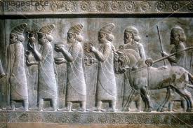 Image result for IRAN HORSES